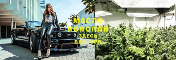 тгк Алзамай