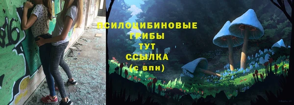 ПСИЛОЦИБИНОВЫЕ ГРИБЫ Алексеевка