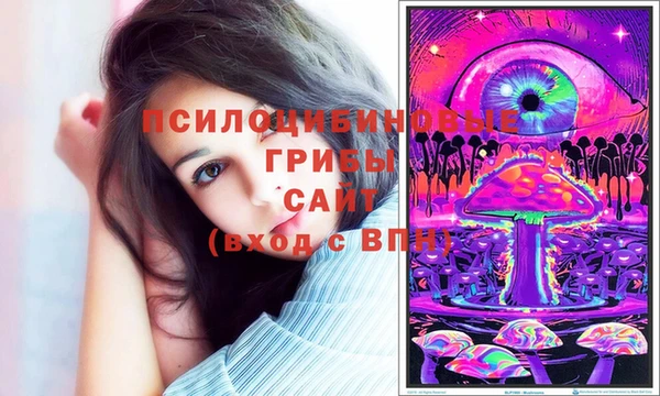 амф Алексин